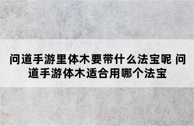 问道手游里体木要带什么法宝呢 问道手游体木适合用哪个法宝